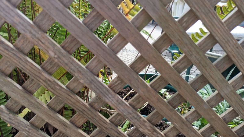 Wood Trellis Installation